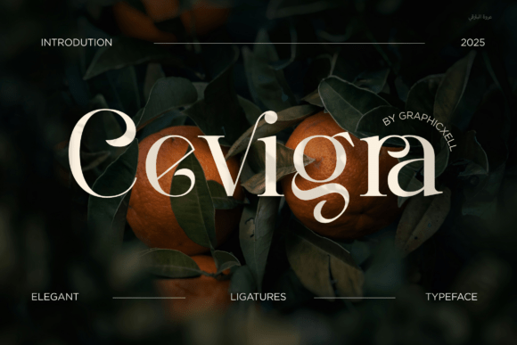 Cevigra Serif Font for Elegant Branding