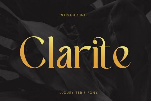 Clarite Regular: A Serif Font for Modern Web Design
