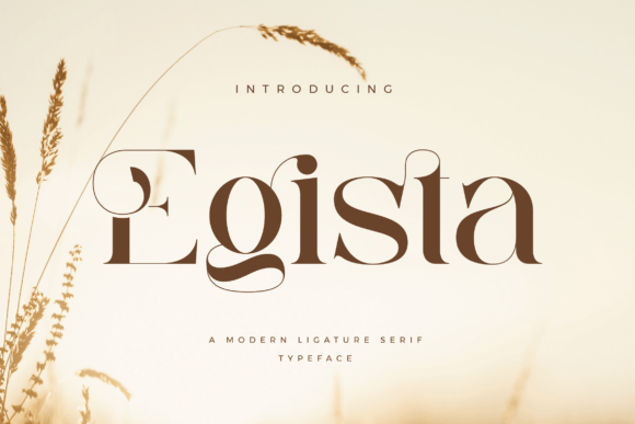 Egista Serif Font: A Marketer’s Review