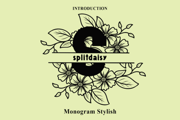 Split Daisy Font: A Branding Upgrade for Small Business