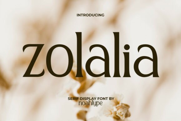 Zolalia: A Designer’s Honest Review